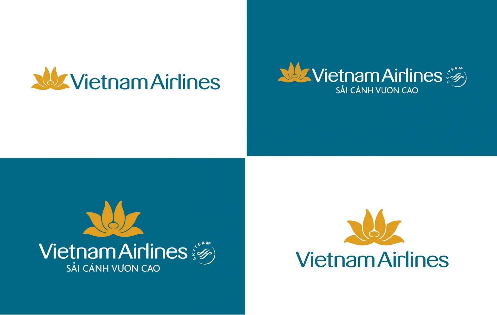 Như thế nào là định dạng file PNG của logo Vietnam Airlines?
