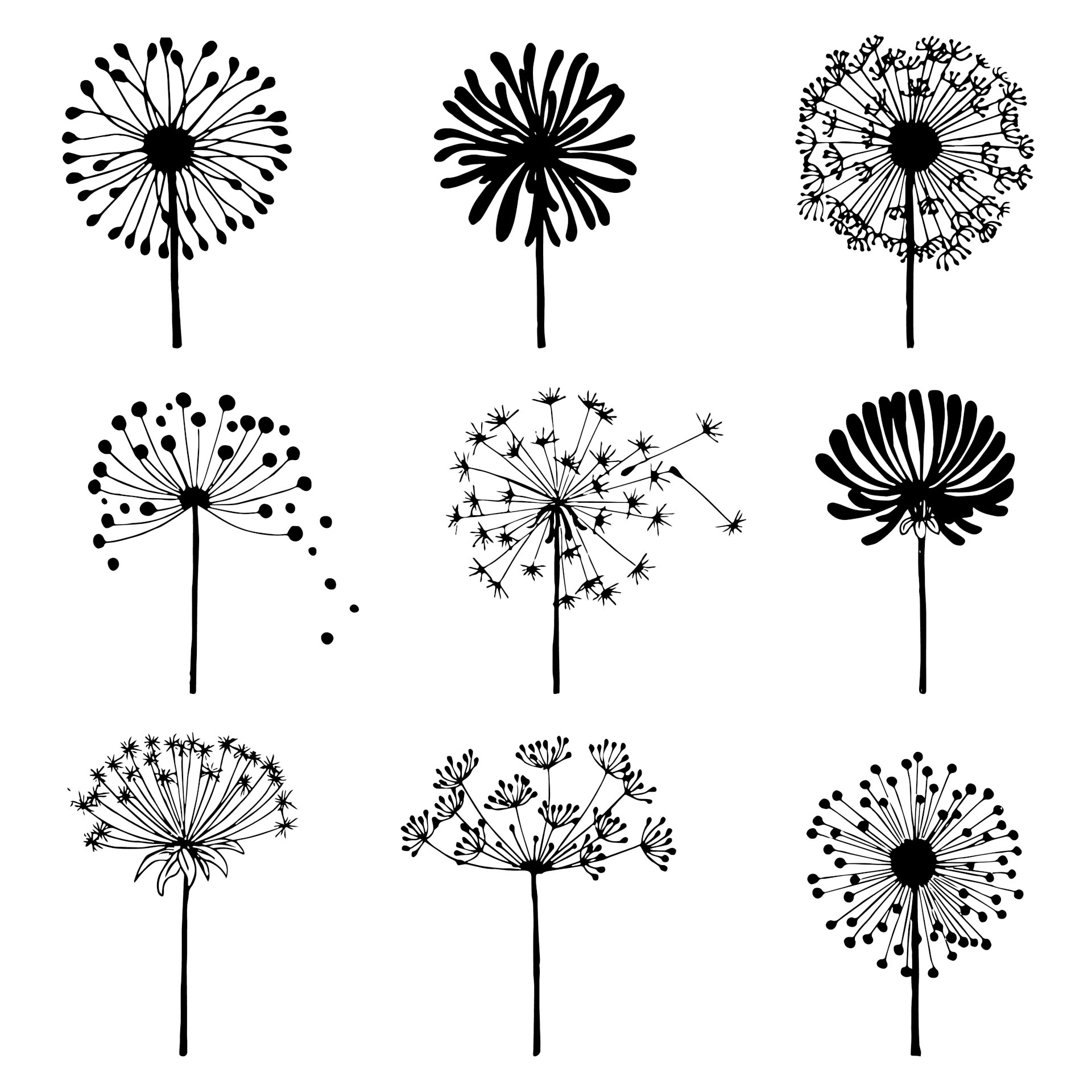Vẽ hoa l Vẽ Hoa Bồ Công Anh  vẽ đơn giản  How to draw a Dandelion   YouTube