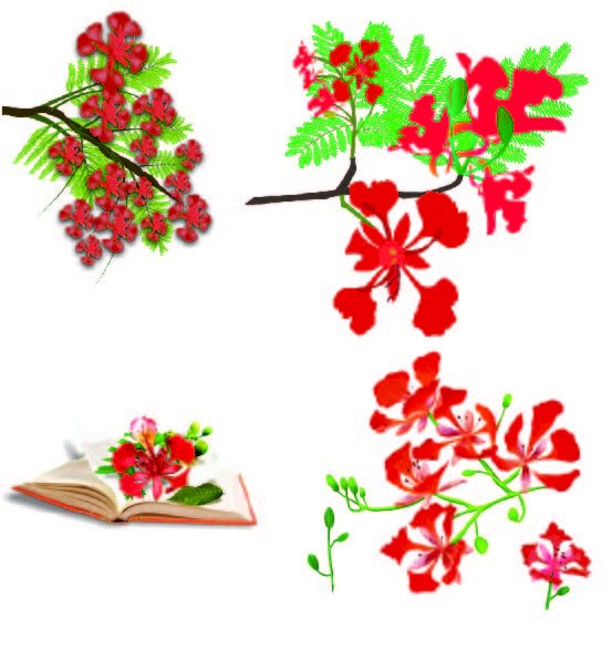 Những cây hoa phượng được ví như niềm tự hào của Việt Nam. Với sắc đỏ rực rỡ, đẹp mắt và đầy nghĩa là tình yêu, nó là một trong những loài hoa được yêu thích nhất. Đến và chiêm ngưỡng vẻ đẹp của những cây hoa phượng đẹp tại hình ảnh liên quan.