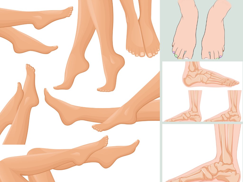 Tải mẫu bàn chân vector, file AI, EPS, SVG, PNG, PSD, JPG/JPEG miễn phí