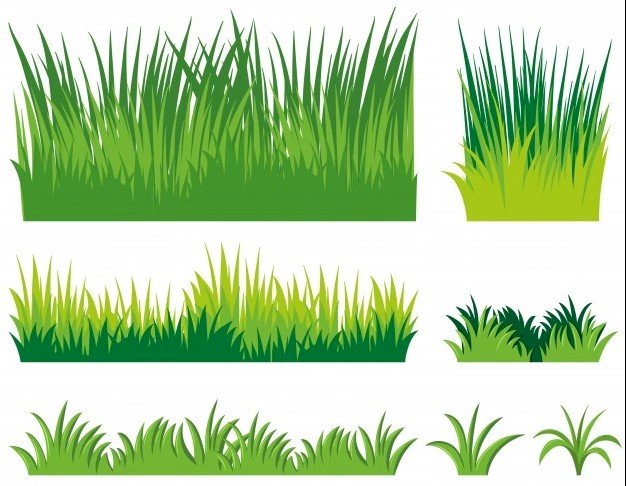 Tải cỏ vector đẹp file AI, EPS, SVG, PSD, PNG, JPG/JPEG miễn phí