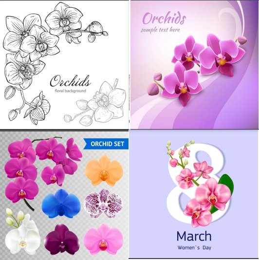 Tải hoa lan vector, file Corel, AI, EPS, SVG, PNG miễn phí