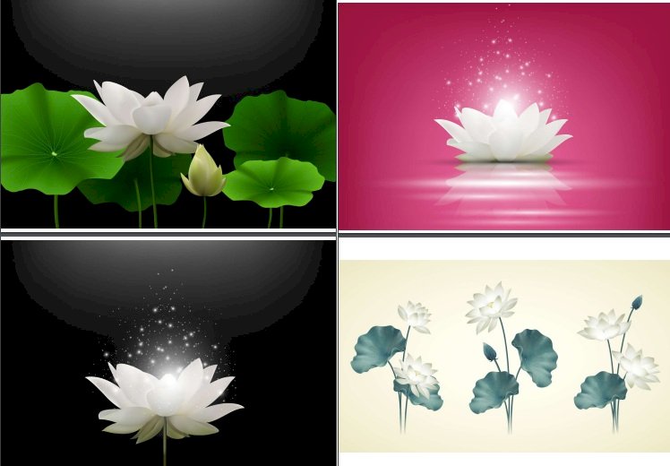 Hoa sen trắng vector là một trong những biểu tượng đặc trưng của văn hóa Việt Nam. Với hình ảnh được thiết kế theo dạng vector, bạn sẽ có thể tùy chỉnh và sử dụng nó trong rất nhiều dự án đồ họa khác nhau.
