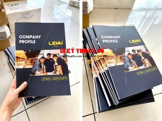 Thiết kế Hồ sơ năng lực bản mềm cho doanh nghiệp nhanh dễ dàng