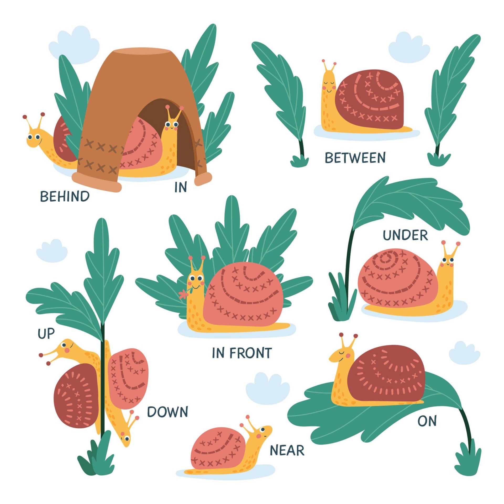 Tải mẫu ốc vector file vector AI, EPS, JPEG, PNG, SVG miễn phí