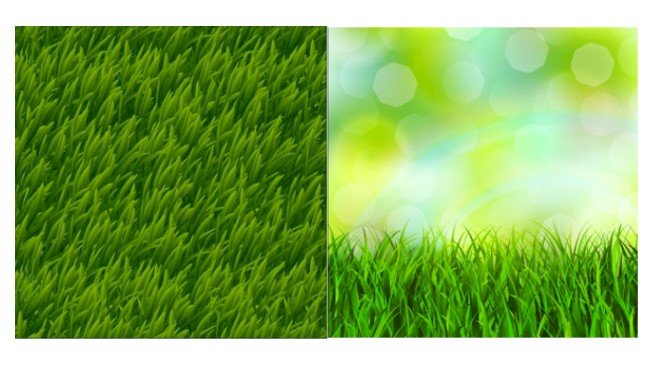 Tải thảm cỏ vector đẹp file AI, EPS, SVG, PSD, PNG, JPG/JPEG miễn phí