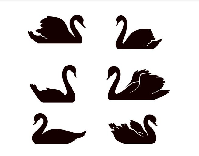 Tải thiên nga vector đẹp file AI, EPS, SVG, PSD, PNG miễn phí