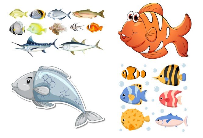 Tải vector con cá đẹp file AI, EPS, SVG, PSD, PNG, JPG/JPEG miễn phí