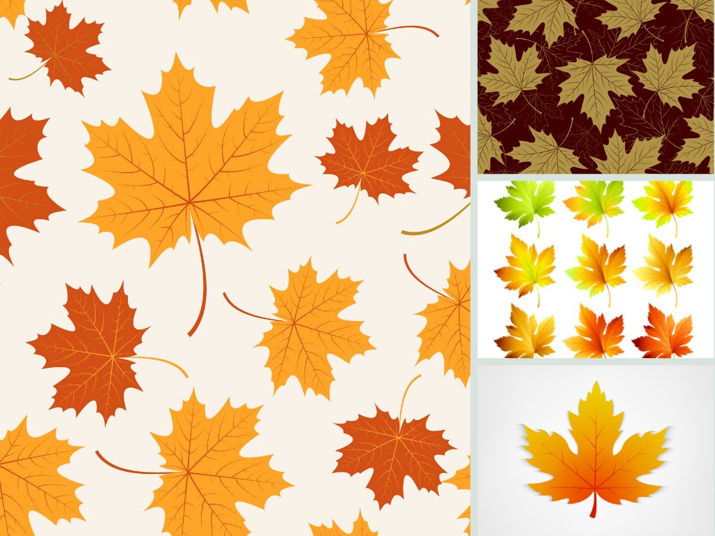 Tải mẫu vector lá phong, file AI, EPS, SVG, PSD, JPG/JPEG miễn phí