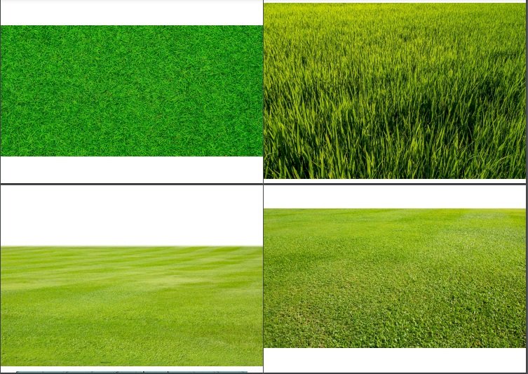 Background cỏ đẹp file PSD, vector hình ảnh chất lượng cao, kích thước lớn