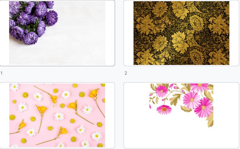 Tải mẫu background hoa cúc file vector AI, PSD, Hình ảnh JPEG chất lượng cao, đẹp miễn phí