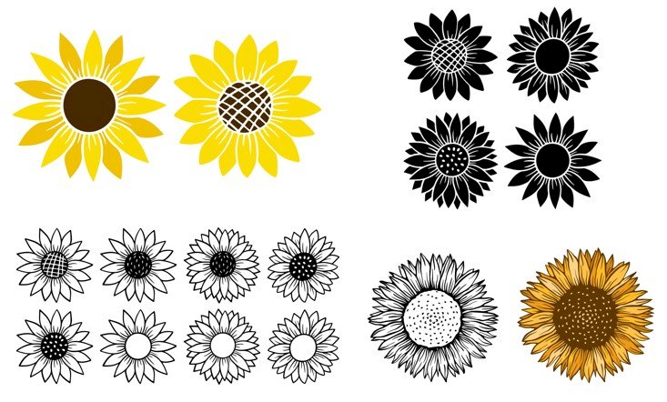 Mẫu icon hoa hướng dương đẹp, dễ thương vector AI, EPS, PSD