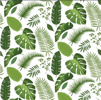 Tải lá nhiệt đới vector đẹp file AI, EPS, SVG, PSD, PNG miễn phí