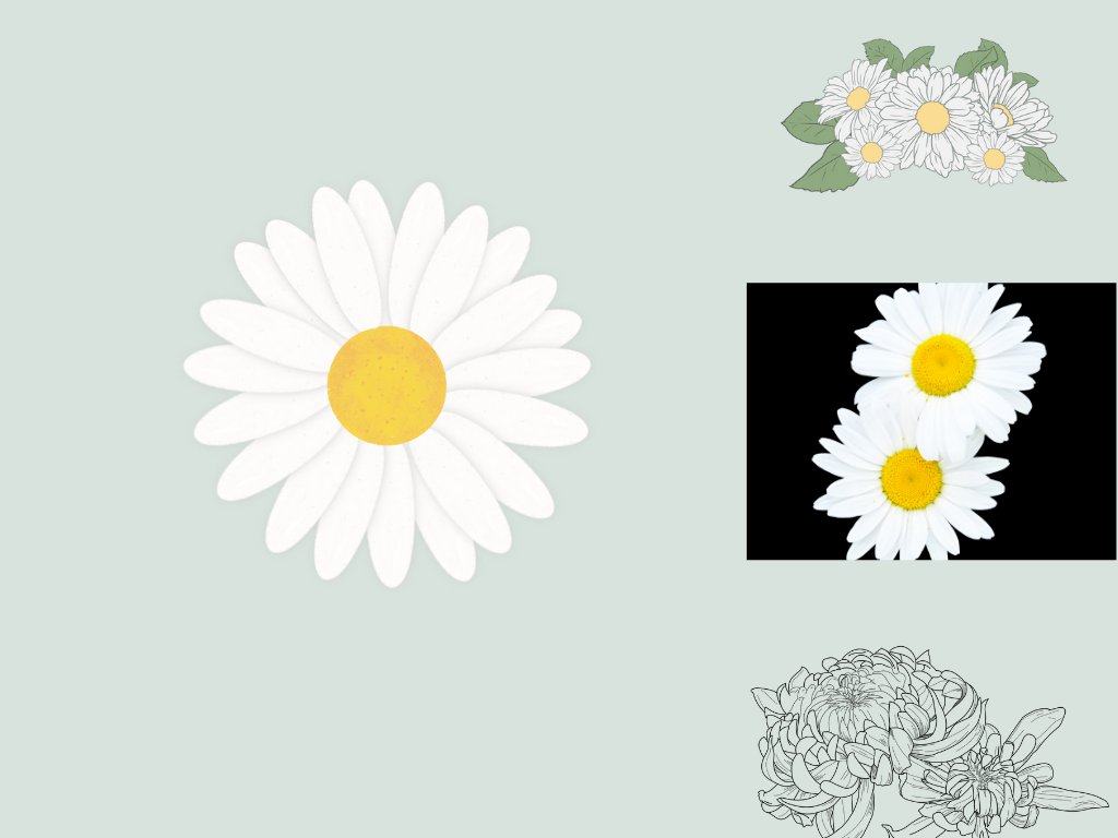 Top 100 mẫu sticker hoa cúc đẹp, dễ thương, chất, ngầu file PNG ...