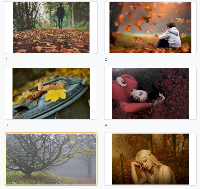 Hình ảnh lá rơi buồn full HD hình ảnh chất lượng cao, kích thước lớn