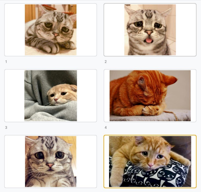 Hình mèo buồn full HD hình ảnh chất lượng cao, kích thước lớn