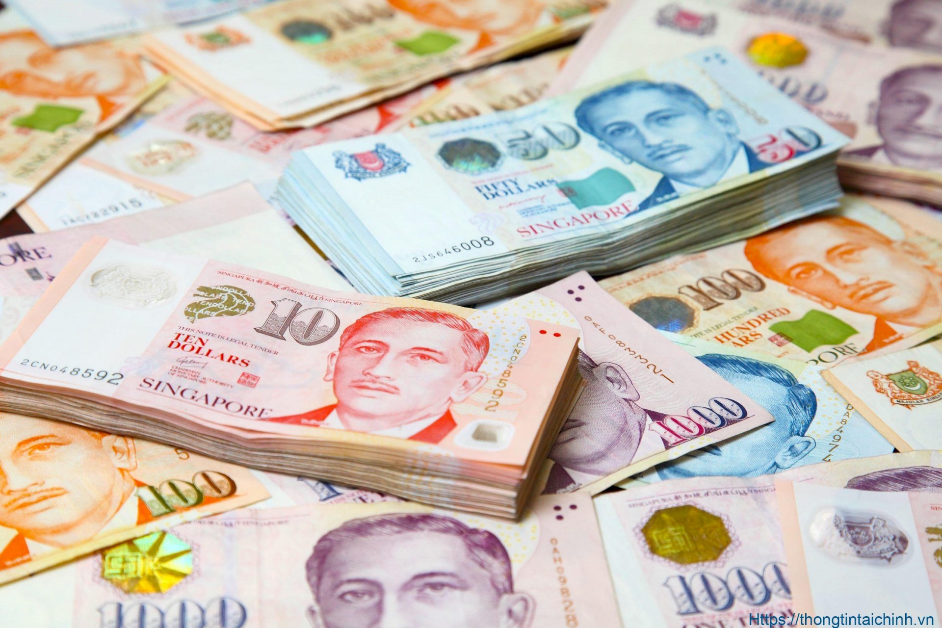 Hình ảnh tiền Singapore luôn ấn tượng với những hình dáng độc đáo và tiền lớn, to đùng. Với những màu sắc rực rỡ và hình ảnh sinh động, bạn sẽ cảm nhận được sức mạnh và giá trị của tiền chính là vô biên.