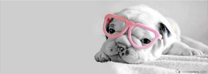 Top 101 ảnh bìa zalo dễ thương đẹp nhất