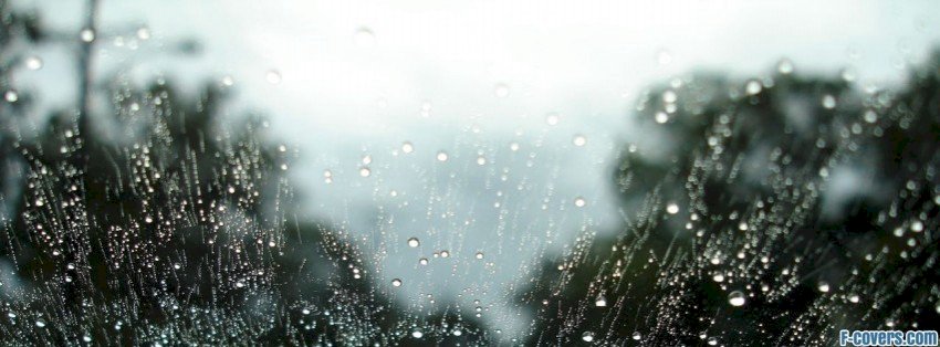 Top 101 ảnh bìa facebook về mưa đẹp nhất