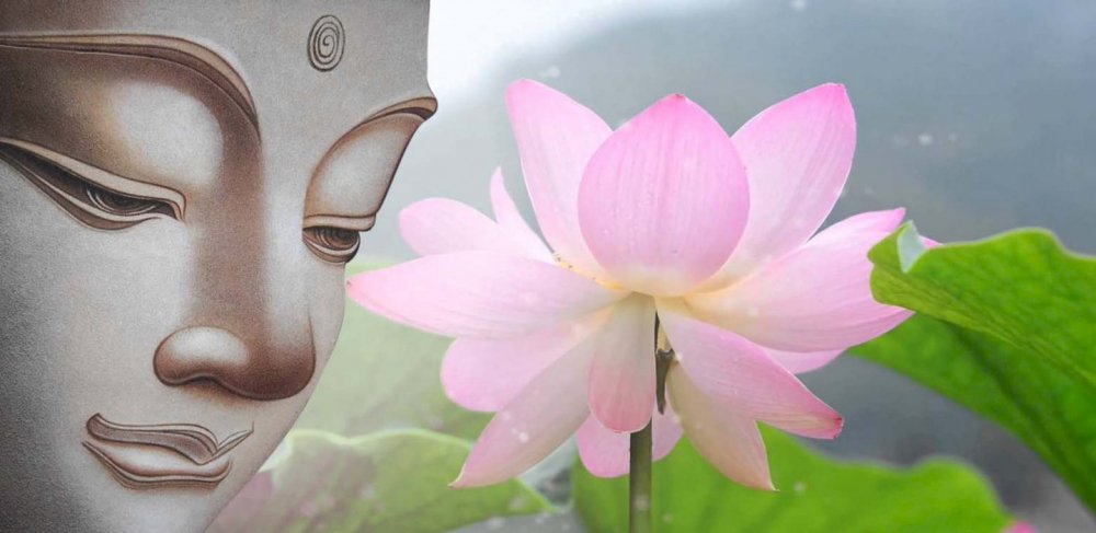 Bức ảnh hoa sen Phật giáo này là một tác phẩm nghệ thuật tuyệt đẹp, với sắc màu tươi sáng và các chi tiết khắc họa tinh tế. Hãy ngắm nhìn vẻ đẹp của hoa sen trong Phật giáo và tìm hiểu về sự tinh khiết và sự khai sáng.