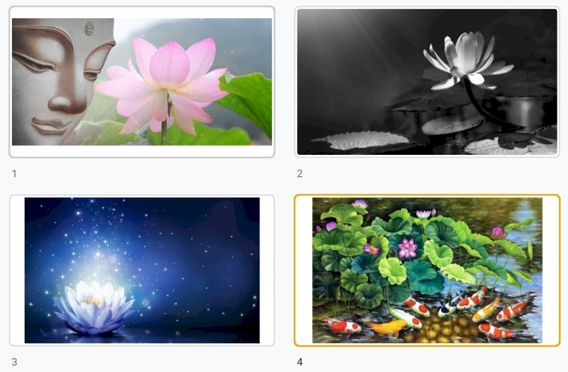 Top 100 ảnh hoa sen đẹp nhất, độc đáo, chất lượng cao tải miễn phí