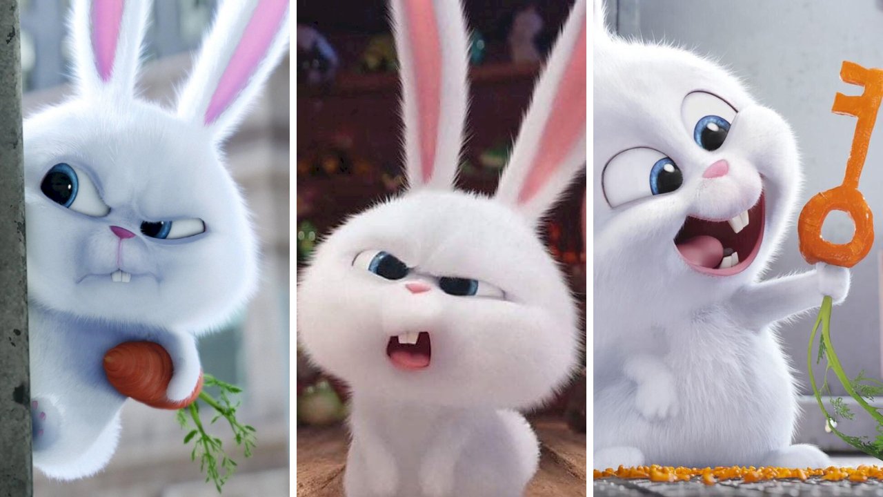 Tuyển chọn 50 hình nền những chú thỏ siêu cute dễ thương