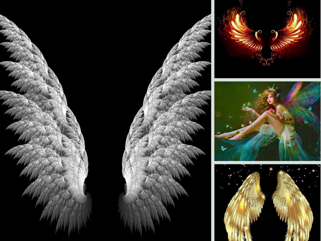 101 mẫu Tranh dán tường 3D đôi cánh thiên thần đẹp nhất, chất ...