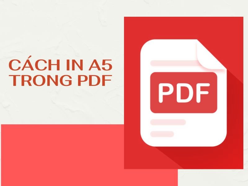 Hướng dẫn cách in A5 trong PDF đơn giản, dễ hiểu