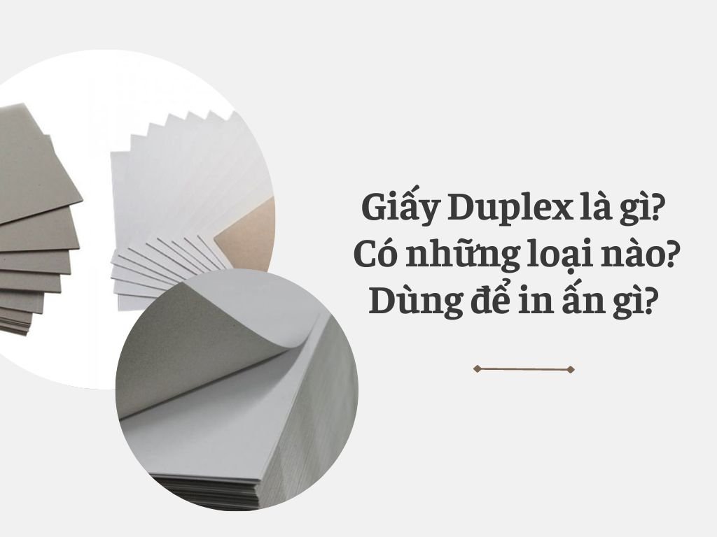 Giấy Duplex là gì? Có những loại nào? Dùng để in ấn gì?