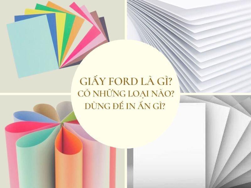 Giấy Ford là gì? Có những loại nào? Dùng để in ấn gì?