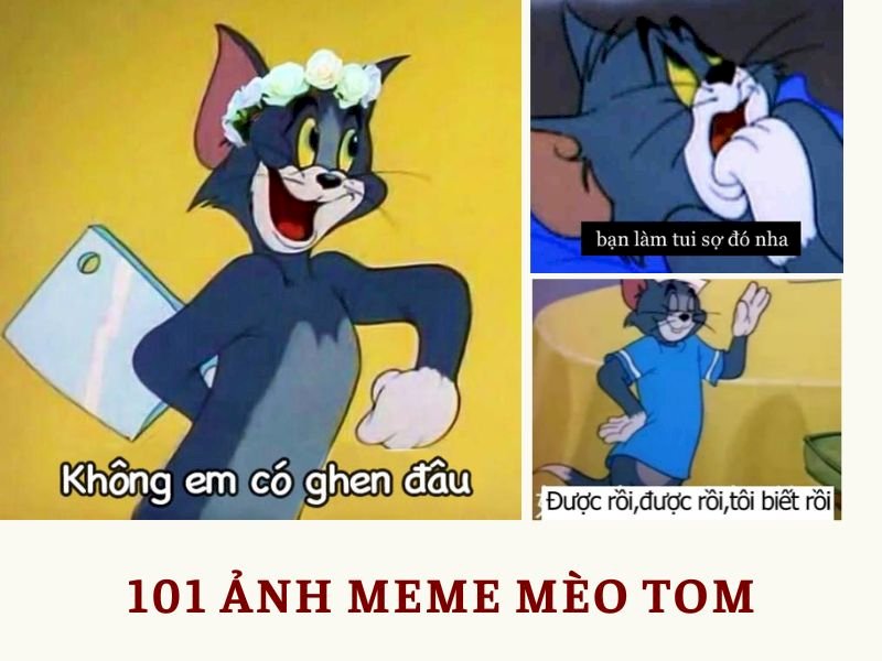 Tổng hợp bộ meme Tom and Jerry hài hước bựa đáng yêu cute tức giận   EUVietnam Business Network EVBN