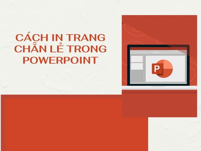 Cách in trang chẵn lẻ trong Powerpoint chi tiết nhất