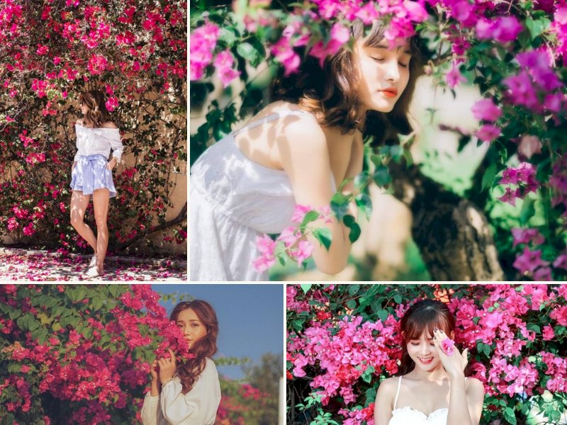 101 cách tạo dáng chụp ảnh với hoa giấy đẹp