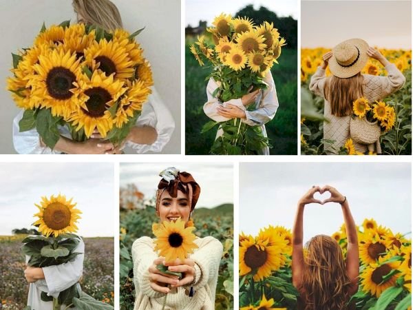Top 101 cách tạo dáng với hoa hướng dương đẹp Top 101 Cách Tạo Dáng Với Hoa Hướng Dương Đẹp