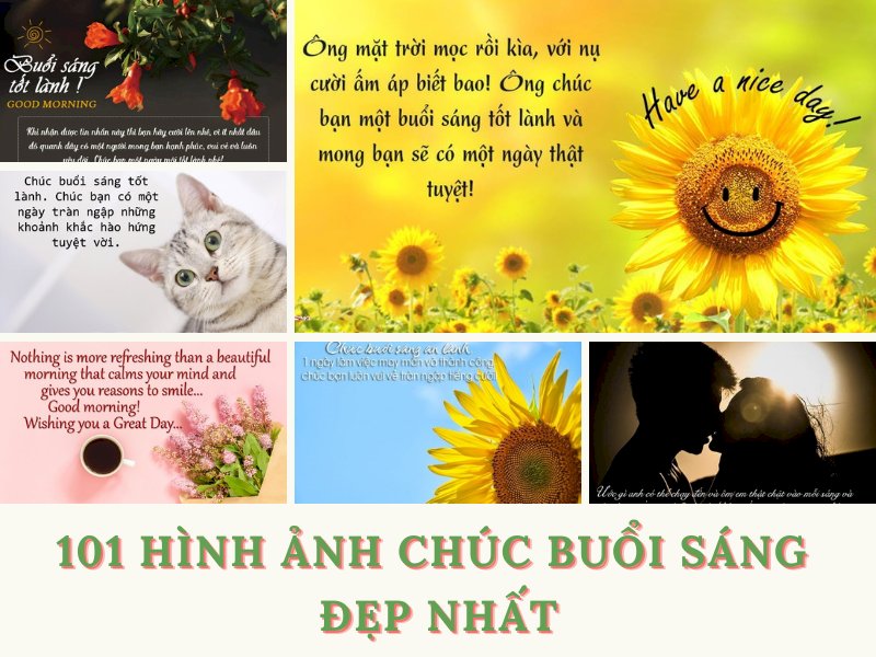 101 hình ảnh chúc buổi sáng đẹp, ý nghĩa, chất lượng cao, tải miễn phí