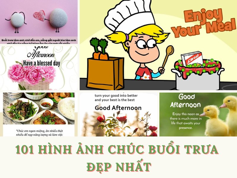 101 hình ảnh chúc buổi trưa đẹp, chất lượng cao, tải miễn phí
