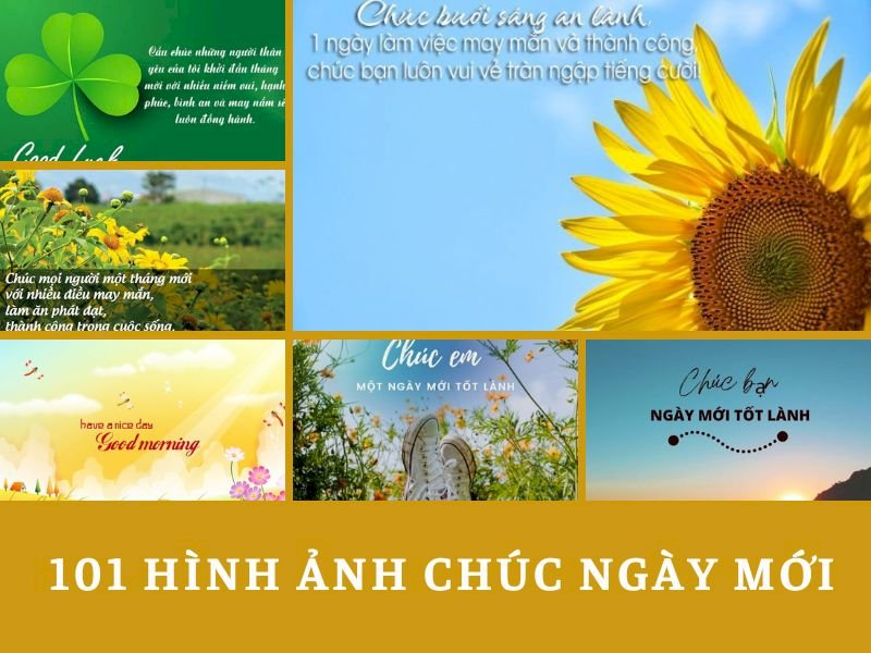 101 mẫu hình ảnh chúc ngày mới đẹp nhất, chất lượng cao, tải miễn phí