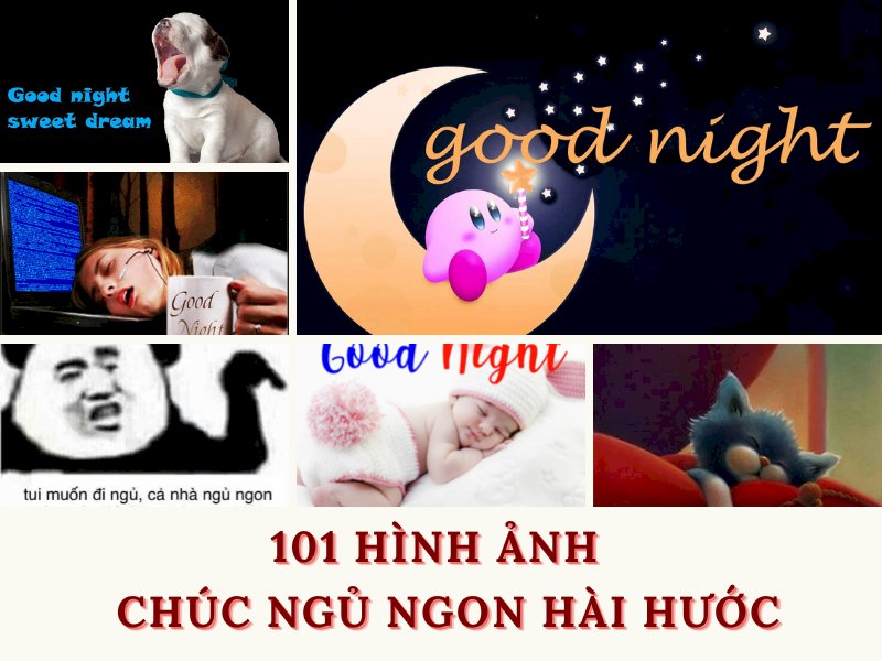 101 hình ảnh chúc ngủ ngon hài hước đẹp nhất, chất lượng cao, tải miễn phí