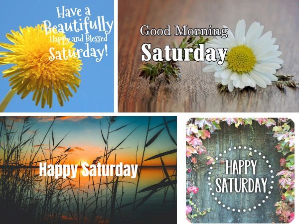 Top 101 hình ảnh chúc thứ 7 vui vẻ, hạnh phúc, tải miễn phí 