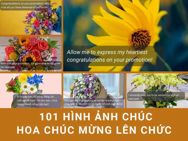 101 mẫu hình ảnh hoa chúc mừng lên chức đẹp nhất, tải miễn phí