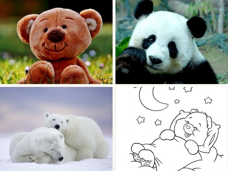 Vẽ Gấu Bông Phong Cách Hoạt Hình  Công cụ đồ họa PSD Tải xuống miễn phí   Pikbest
