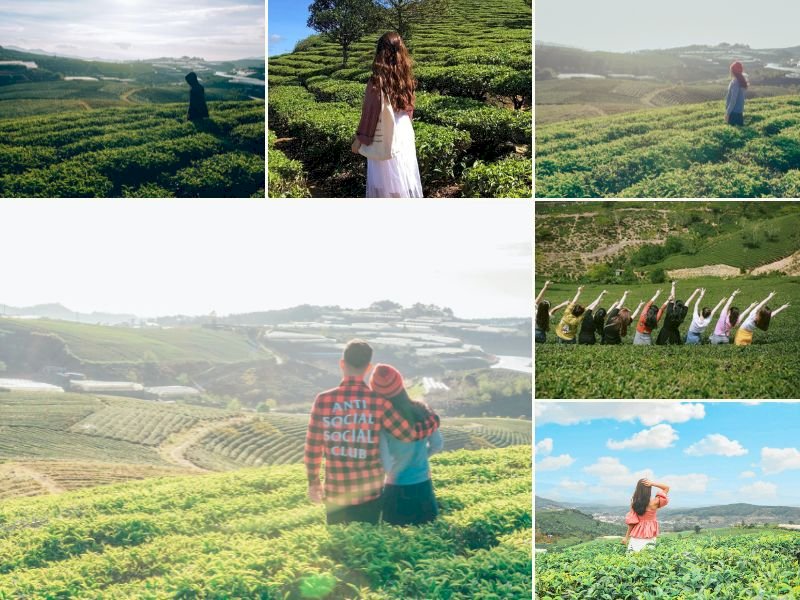 101 cách tạo dáng chụp ảnh đồi chè đẹp nhất, tải miễn phí