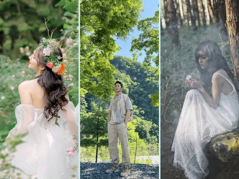 101 cách tạo dáng chụp ảnh trong rừng đẹp nhất