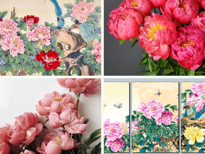 101 Hình ảnh hoa mẫu đơn 9 bông đẹp nhất, tải miễn phí