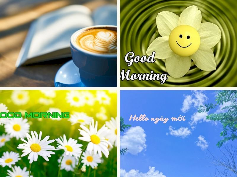 101 hình ảnh chào ngày mới tươi đẹp, chất lượng cao, tải miễn phí