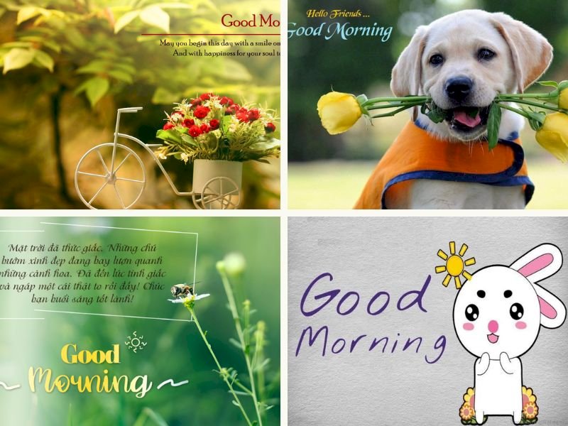 101 Hình ảnh chào ngày mới yêu thương, tải miễn phí