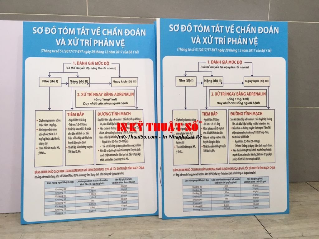 In sơ đồ ngành, in bảng quy trình công việc theo yêu cầu TPHCM
