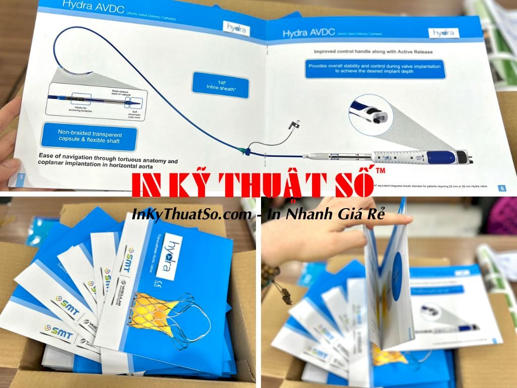 In catalogue số lượng ít với công nghệ in kỹ thuật số