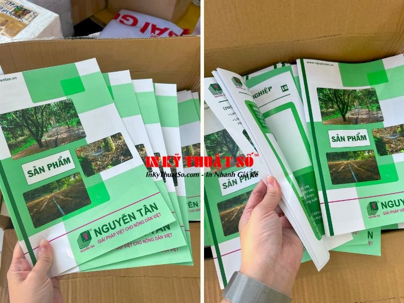 Catalogue list sản phẩm nhanh dễ dàng