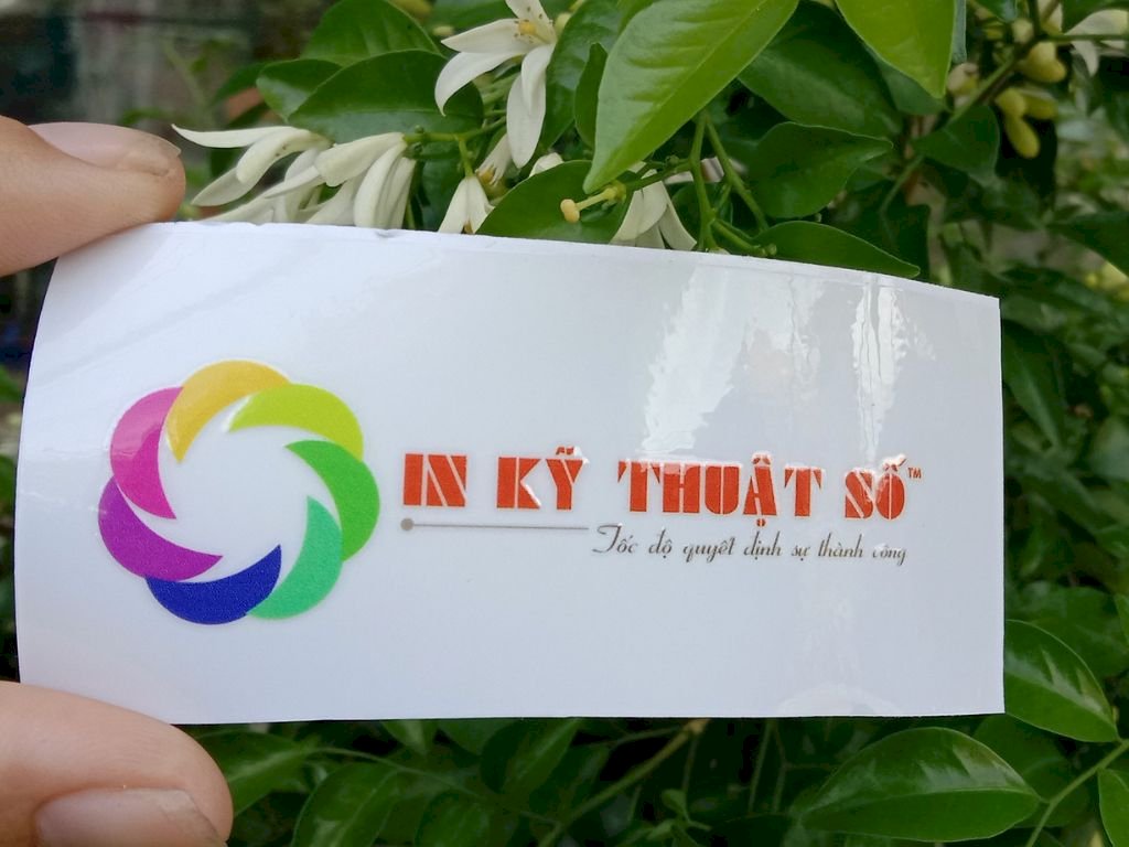 In tem UV DTF (Direct to Film) chuyển nguội chống nước, dán tem mọi bề mặt
